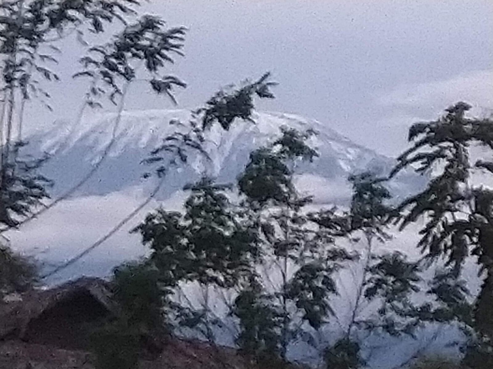 Mountain summit seen through foreground branches