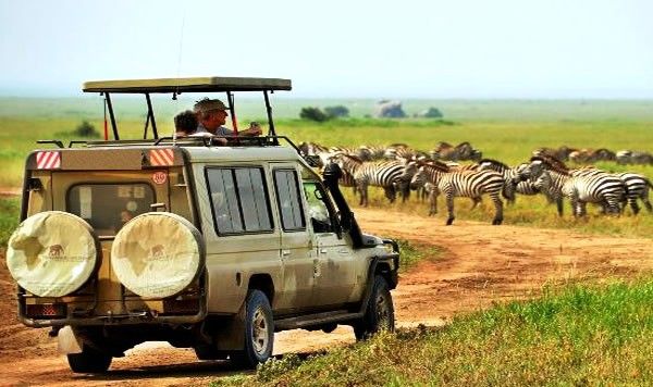 5 DAYS MID-RANGE LODGE SAFARI IN TANZANIA