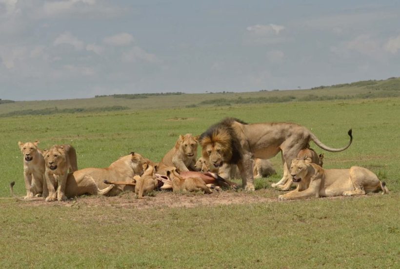 03 DAYS TANZANIA LODGE SAFARI.