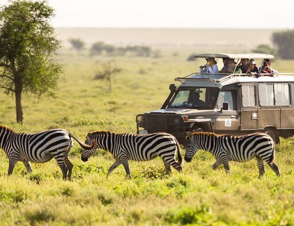 03 DAYS BUDGET CAMPING TANZANIA SAFARI