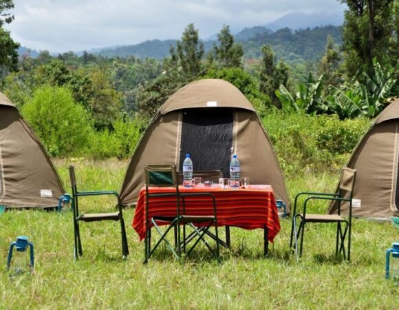 5 DAYS BUDGET CAMPING SAFARI IN TANZANIA