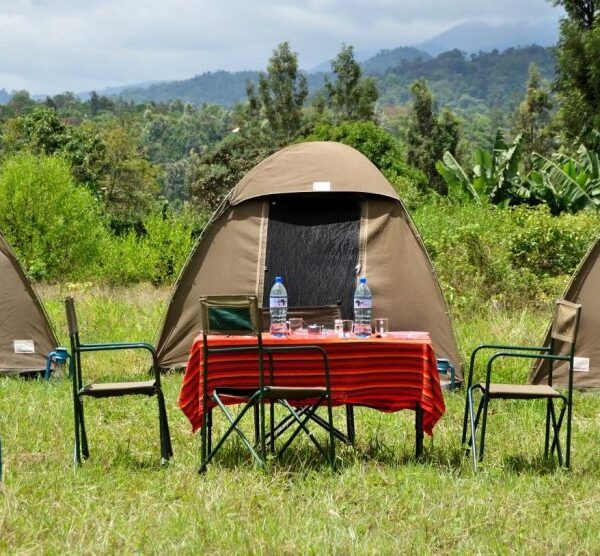 5 DAYS BUDGET CAMPING SAFARI IN TANZANIA